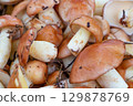 Fresh Suillus Mushrooms Background, Autumn Forest Harvest 129878769