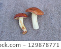 Two Fresh Suillus Mushrooms on Concrete Background 129878771