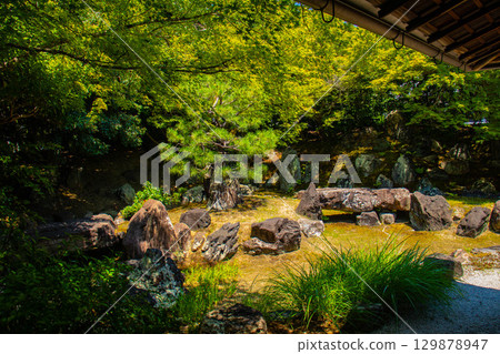 【京都風光】圓德院:寧寧去世的庭園 【京都風光】圓德院:寧寧去世的庭園 129878947