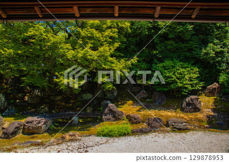 [Kyoto Scenery] Entoku-in Temple: The garden where Nene died 129878953