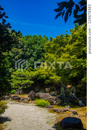 [Kyoto Scenery] Entoku-in Temple: The garden where Nene died 129878983
