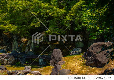[Kyoto Scenery] Entoku-in Temple: The garden where Nene died 129878986