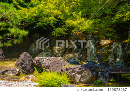 [Kyoto Scenery] Entoku-in Temple: The garden where Nene died 129878987