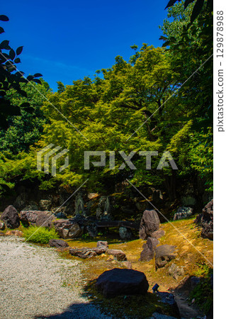 【京都風光】圓德院：寧寧去世的庭園 129878988