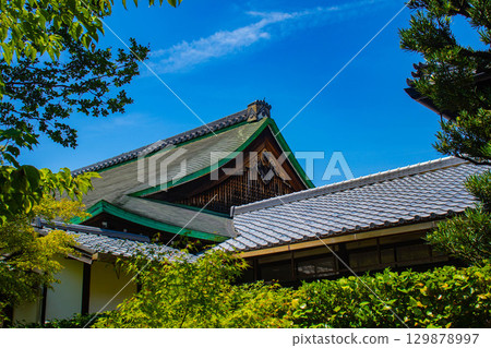 [Kyoto Scenery] Entoku-in Temple: The garden where Nene died 129878997