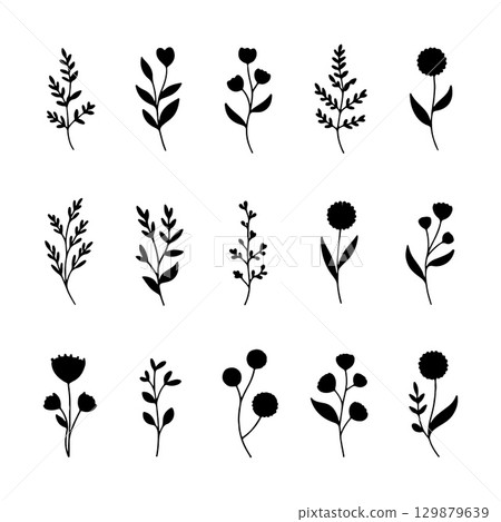 Delicate Line Botanicals. Fine-line botanical illustrations with small leaves and rounded blossoms for elegant natural compositions. 129879639