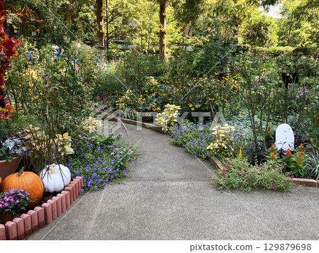 A park path decorated for Halloween 129879698