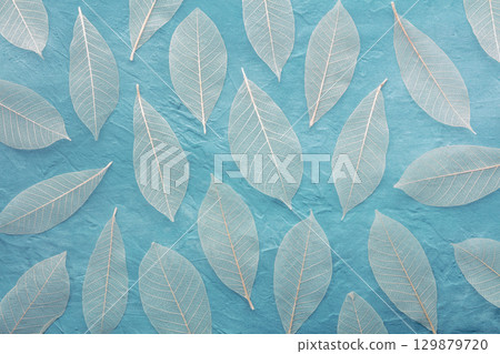 Autumn leaves background. Skeleton leaves on a blue texture. Fall banner Autumn leaves background. Skeleton leaves on a blue texture. Fall banner 129879720