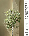 Real photo tropical green botanical ficus plant light and shadow overlay nature outdoor aesthetics 129879724