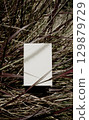 Organic real photo taken white blank paper card sheet shadow overlay leafy brown grassy botanical 129879729