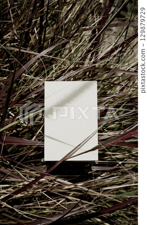 Organic real photo taken white blank paper card sheet shadow overlay leafy brown grassy botanical 129879729