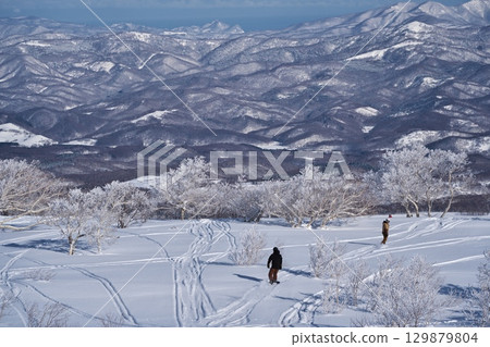Snowboarders gliding through the frost-covered trees on the north ridge of Niseko Annupuri in the depths of winter Snowboarders gliding through the frost-covered trees on the north ridge of Niseko Annupuri in the depths of winter 129879804