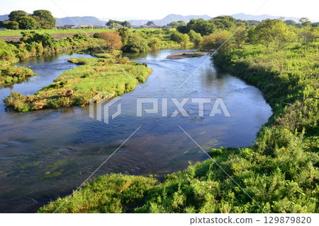 岐阜市鳥羽川河岸沐浴著朝陽 129879820