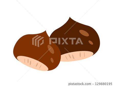 Illustration of chestnut 129880195