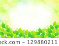 新鮮的綠葉和閃閃發光的清爽背景插圖素材 129880211