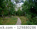 stone path surrounded by greenery and trees. 129880286