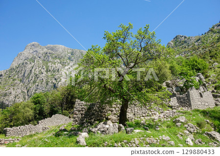 ruins of St. Juraj Church besides Kotor fortress. Kotor bay, Montenegro ruins of St. Juraj Church besides Kotor fortress. Kotor bay, Montenegro 129880433