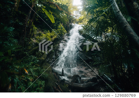 Dark green waterfall in the rainforest 129880769