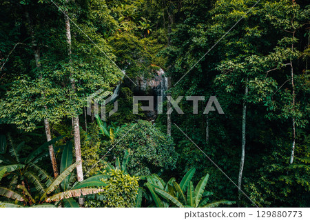 Aerial view of waterfalls and rainforests, forests and environmental conservation 129880773