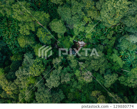Aerial view of waterfalls and rainforests, forests and environmental conservation Aerial view of waterfalls and rainforests, forests and environmental conservation 129880774