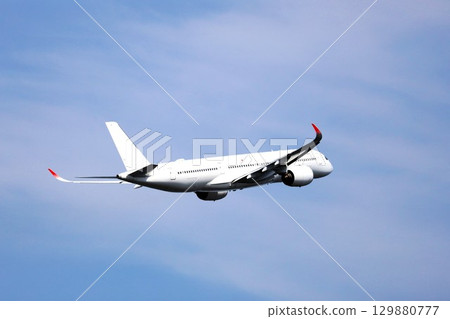 Airliner that took off Airliner that took off 129880777