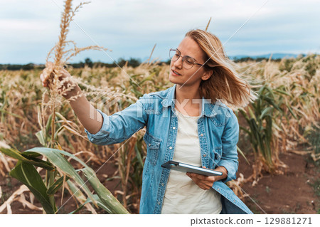 Agronomist analyzing ripe corn crops in field using digital tablet 129881271