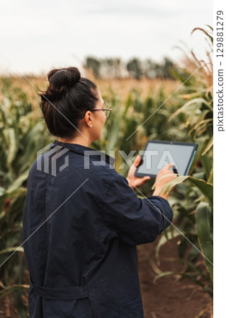Young woman farmer using digital tablet in corn field Young woman farmer using digital tablet in corn field 129881279