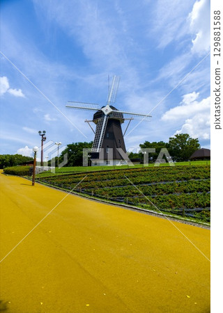 Blue sky and windmill Blue sky and windmill 129881588