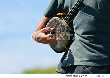 Okinawa Sanshin Okinawa Sanshin 129881606