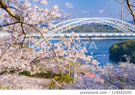 長崎縣:春天的新西海大橋和西海橋公園的櫻花 長崎縣:春天的新西海大橋和西海橋公園的櫻花 129882095