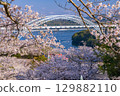 長崎縣：春天的新西海大橋和西海橋公園的櫻花 129882110