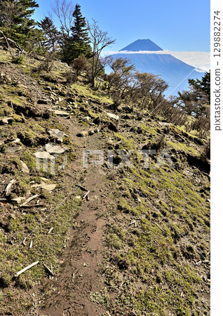 從毛無山天子山橫斷路線看到的富士山 129882274