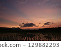 Dramatic sunset casting warm hues over a flooded rice field, with mountains and scattered clouds silhouetted in the distance. Peaceful rural scene with natural reflections on water. 129882293
