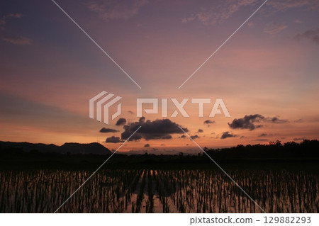 Dramatic sunset casting warm hues over a flooded rice field, with mountains and scattered clouds silhouetted in the distance. Peaceful rural scene with natural reflections on water. 129882293