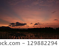 Vibrant sunset scene with glowing clouds and radiant sky above a flooded rice field. Silhouettes of trees and distant hills add depth and contrast. Peaceful rural atmosphere. 129882294