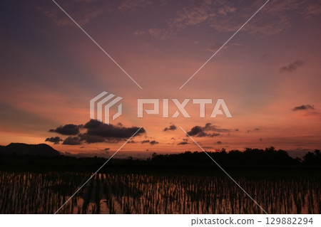 Vibrant sunset scene with glowing clouds and radiant sky above a flooded rice field. Silhouettes of trees and distant hills add depth and contrast. Peaceful rural atmosphere. Vibrant sunset scene with glowing clouds and radiant sky above a flooded rice field. Silhouettes of trees and distant hills add depth and contrast. Peaceful rural atmosphere. 129882294