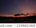 Colorful sunset with glowing clouds and reflections on a wet rice field. Silhouetted trees and mountains add depth to this peaceful rural landscape. 129882368
