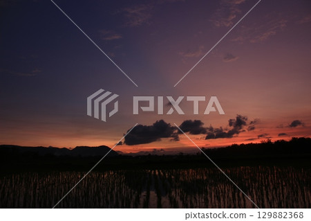 Colorful sunset with glowing clouds and reflections on a wet rice field. Silhouetted trees and mountains add depth to this peaceful rural landscape. 129882368