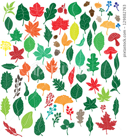 autumn leaves  set with leaves 129882763