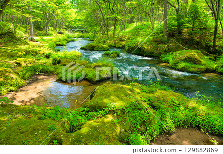 Nikko City, Tochigi Prefecture Yukawa flowing through Senjogahara in Oku-Nikko Nikko City, Tochigi Prefecture Yukawa flowing through Senjogahara in Oku-Nikko 129882869