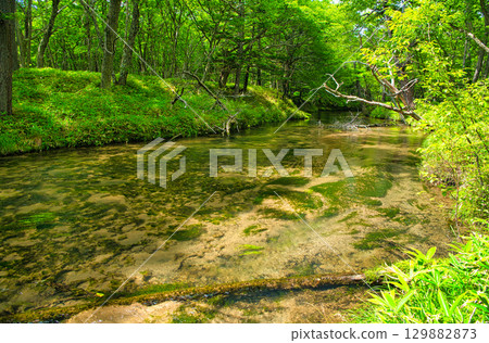 Nikko City, Tochigi Prefecture Yukawa flowing through Senjogahara in Oku-Nikko Nikko City, Tochigi Prefecture Yukawa flowing through Senjogahara in Oku-Nikko 129882873