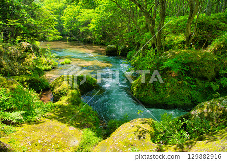 Nikko City, Tochigi Prefecture Yukawa flowing through Senjogahara in Oku-Nikko Nikko City, Tochigi Prefecture Yukawa flowing through Senjogahara in Oku-Nikko 129882916