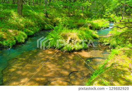Nikko City, Tochigi Prefecture Yukawa flowing through Senjogahara in Oku-Nikko 129882920