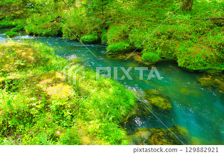 Nikko City, Tochigi Prefecture Yukawa flowing through Senjogahara in Oku-Nikko 129882921