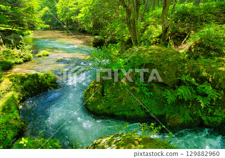 Nikko City, Tochigi Prefecture Yukawa flowing through Senjogahara in Oku-Nikko Nikko City, Tochigi Prefecture Yukawa flowing through Senjogahara in Oku-Nikko 129882960