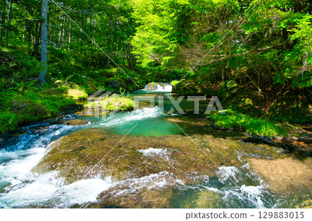 Yukawa River flows from Senjogahara in Oku-Nikko, Nikko City, Tochigi Prefecture Yukawa River flows from Senjogahara in Oku-Nikko, Nikko City, Tochigi Prefecture 129883015