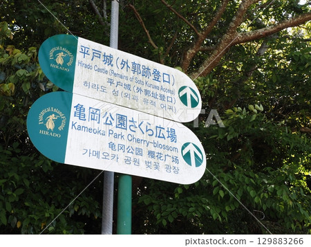 Hirado Castle scenery Hirado Castle scenery 129883266