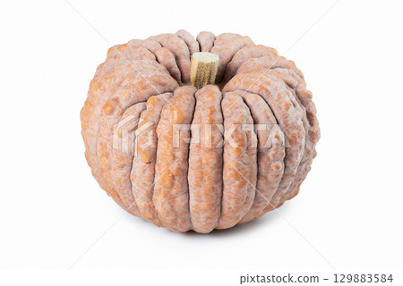 Black Futsu Japanese Pumpkin Isolated on White Black Futsu Japanese Pumpkin Isolated on White 129883584