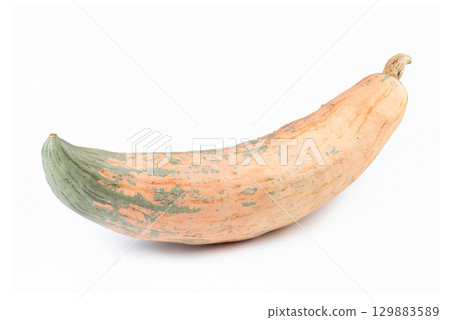Candy Roaster Winter Squash Pumpkin Isolated on White Candy Roaster Winter Squash Pumpkin Isolated on White 129883589