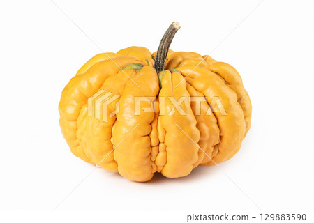 Guicoy Heirloom Squash Pumpkin Isolated on White 129883590